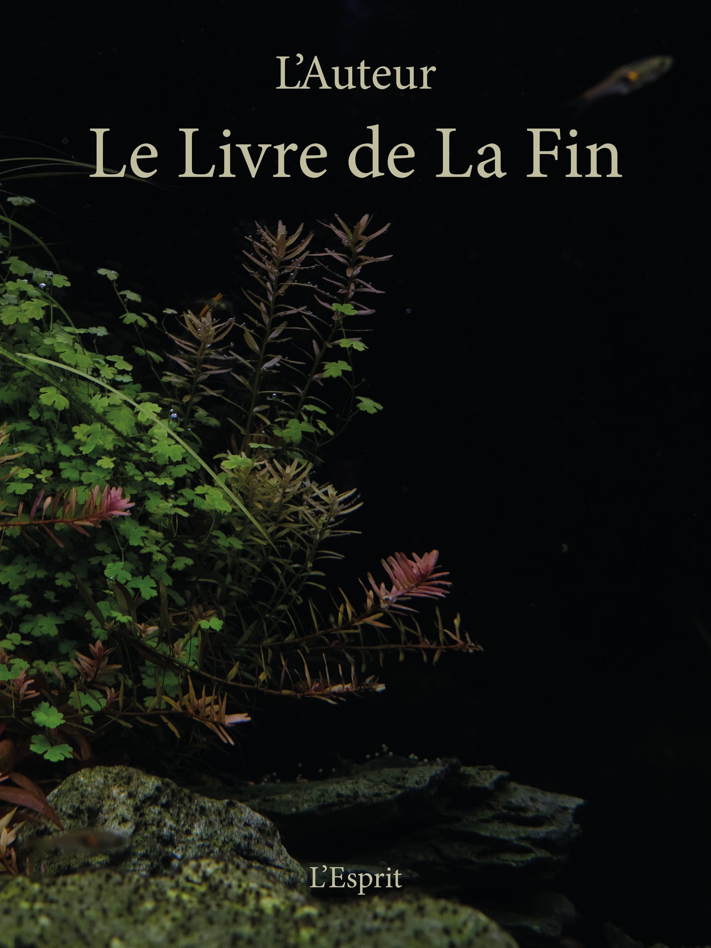 Couverture Le livre de la fin, aux éditions esprit