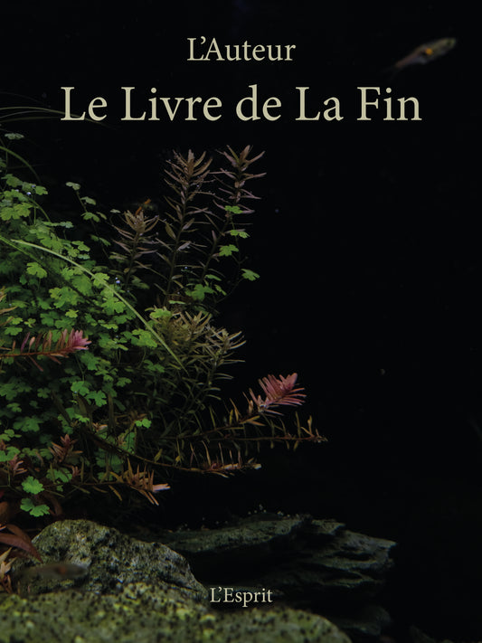 Couverture Le livre de la fin, aux éditions esprit